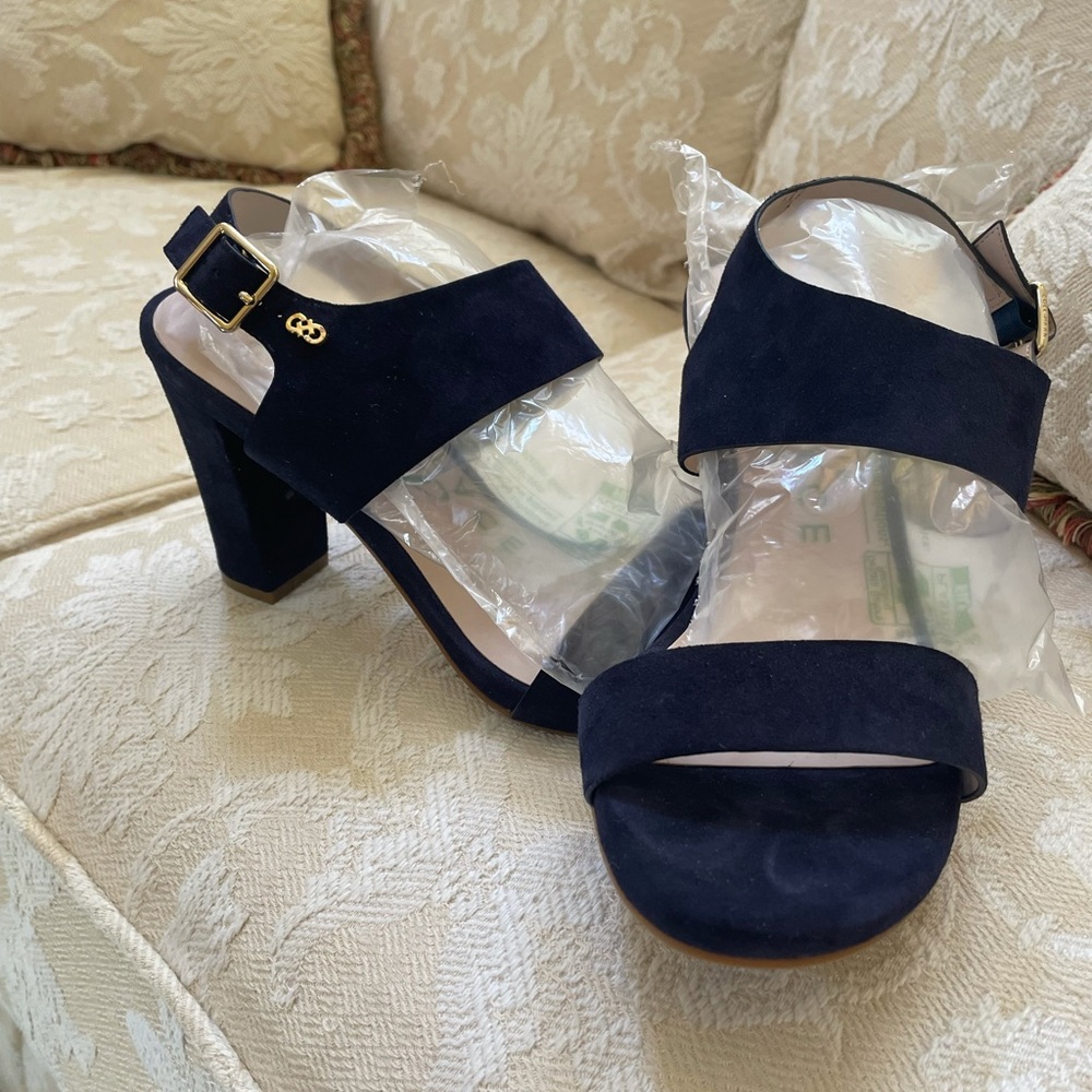 Cole Haan blue suede sandals size 8 medium.